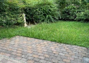 IMG-20250911-WA0030.jpg - Casa indipendente Strada Comunale per Rivalta, Gazzola - foto 28