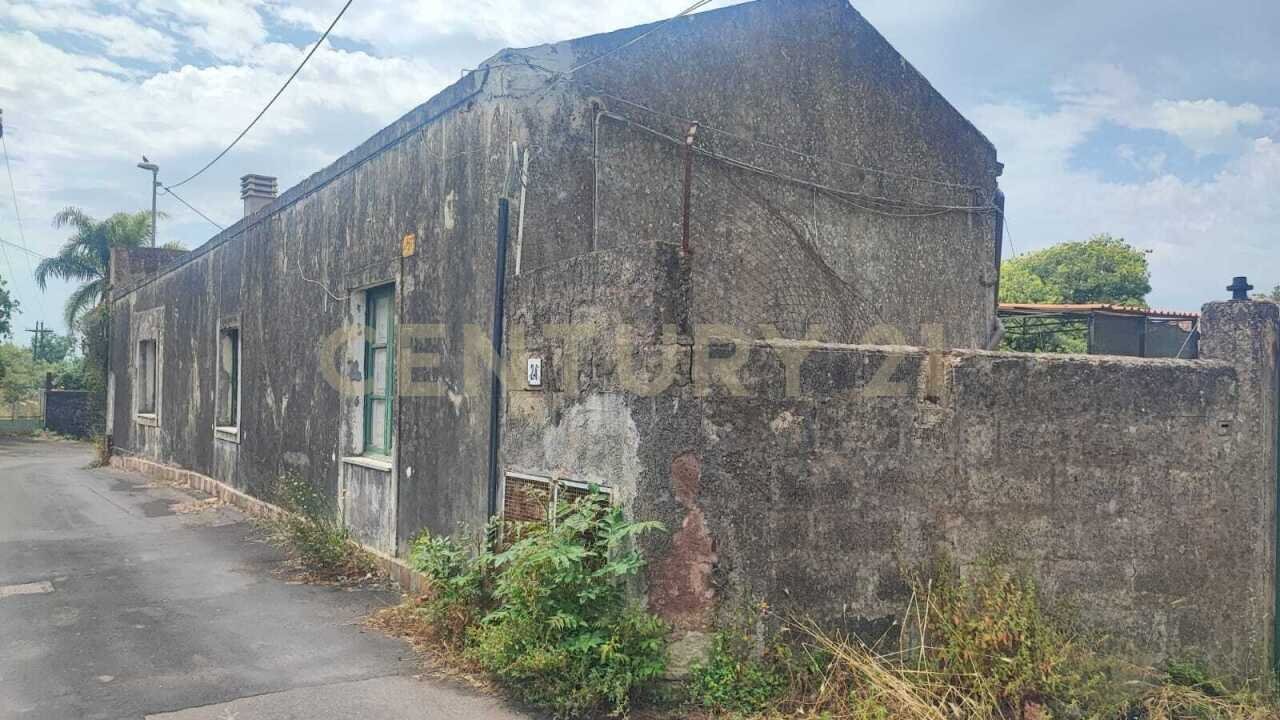 IMG-20250521-WA0019.jpg - Villa Via Angelo Musco snc, San Giovanni la Punta - photo 3