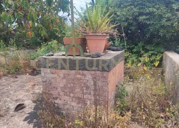 IMG-20250521-WA0022.jpg - Villa Via Angelo Musco snc, San Giovanni la Punta - photo 13