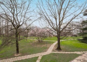 Quadrilocale Segrate - foto 9