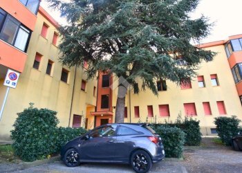 Trilocale Via Sigmund Freud, Rimini - foto 3