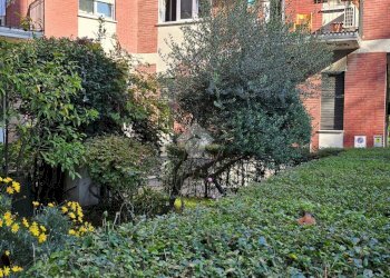 Three-room apartment Viale Sardegna, Cinisello Balsamo - photo 1