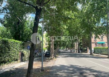 Shop Modena - photo 5