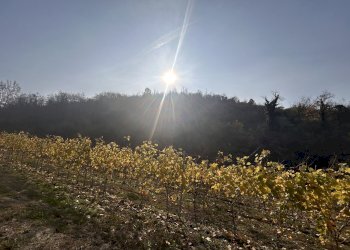 Casa indipendente Trezzo Tinella - foto 6