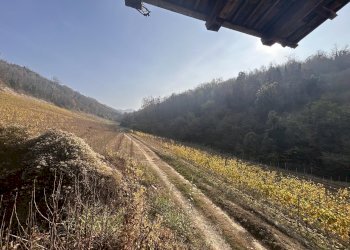 Casa indipendente Trezzo Tinella - foto 12