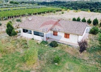 Casa all\'aperto - Villa C.da San Basile
 
17, Orsogna - foto 8