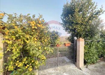 Giardino - Rustico Contrada Piana S. Tommaso
 
38, Torino di Sangro - foto 41