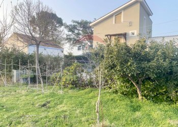 Giardino - Rustico Contrada Piana S. Tommaso
 
38, Torino di Sangro - foto 46