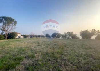 Giardino - Rustico Contrada Piana S. Tommaso
 
38, Torino di Sangro - foto 50