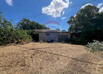 Giardino - Casa indipendente Lanciano - foto 4