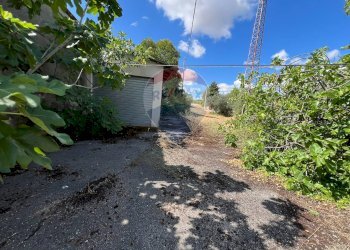 Giardino - Casa indipendente Lanciano - foto 7