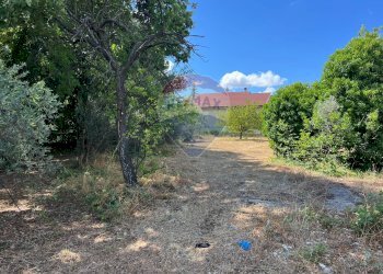 Giardino - Casa indipendente Lanciano - foto 9