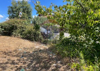 Giardino - Casa indipendente Lanciano - foto 10