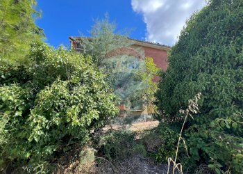 Giardino - Casa indipendente Lanciano - foto 17