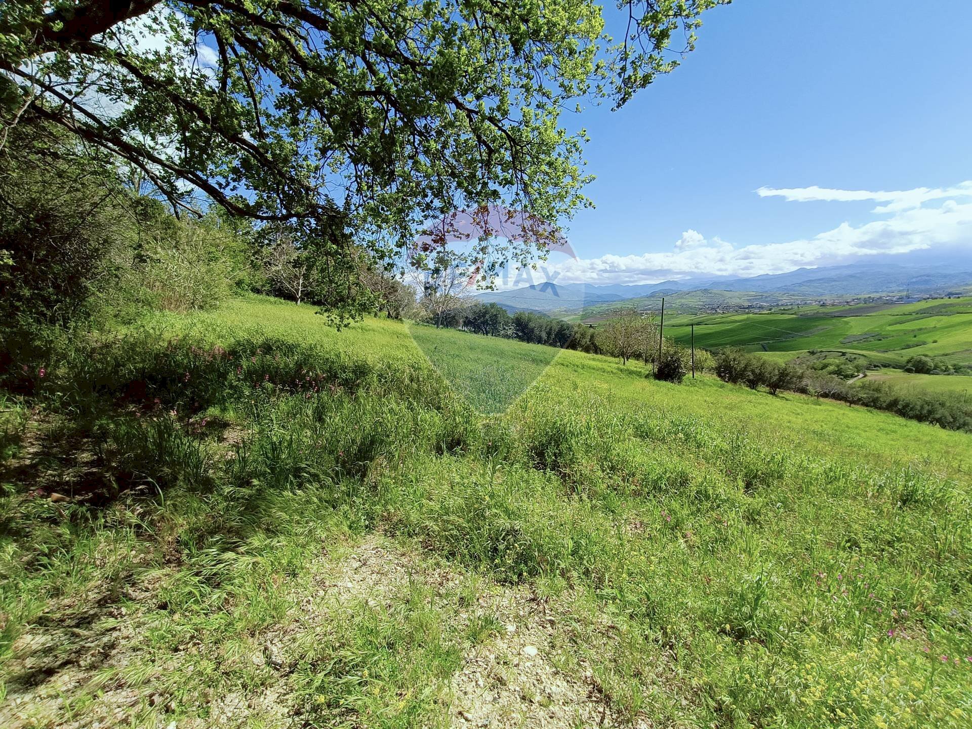 Giardino - Terreno edificabile Strada Statale 84, Castel Frentano - foto 3