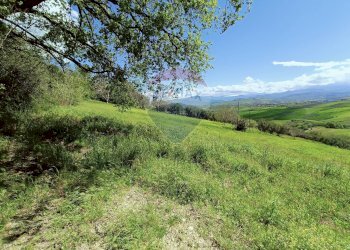 Giardino - Terreno edificabile Strada Statale 84, Castel Frentano - foto 3