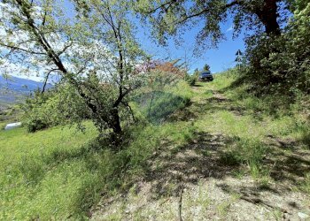 Giardino - Terreno edificabile Strada Statale 84, Castel Frentano - foto 6