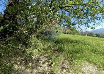 Giardino - Terreno edificabile Strada Statale 84, Castel Frentano - foto 9