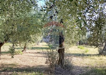 Giardino - Terreno edificabile Via Iconicella
100, Lanciano - foto 8