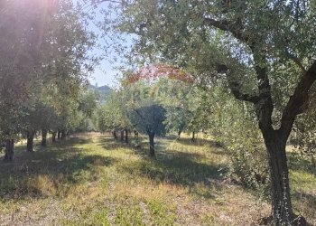 Giardino - Terreno edificabile Via Iconicella
100, Lanciano - foto 9