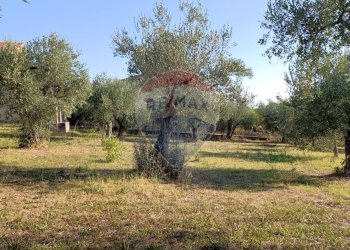 Giardino - Terreno edificabile Via Iconicella
100, Lanciano - foto 10