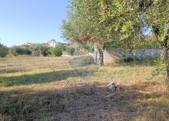 Giardino - Terreno edificabile Via Iconicella
100, Lanciano - foto 11