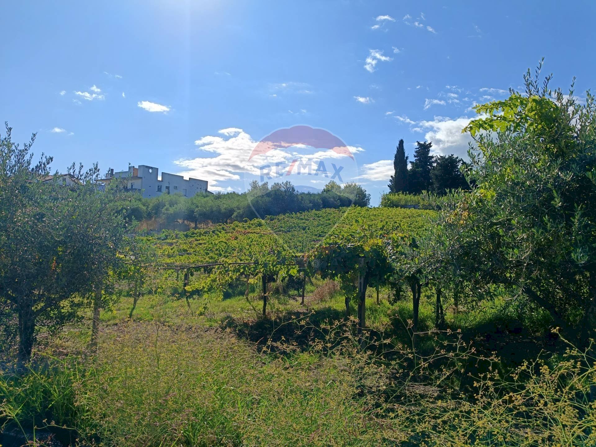 Vista delle montagne - Terreno edificabile Via Colle della fonte
 
75, Frisa - foto 2