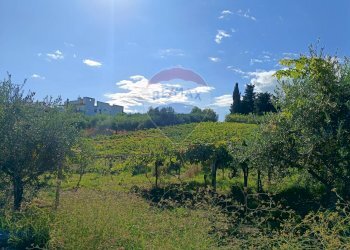 Vista delle montagne - Terreno edificabile Via Colle della fonte
 
75, Frisa - foto 5