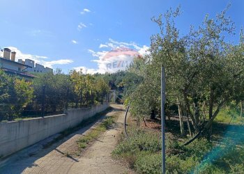 Giardino - Terreno edificabile Via Colle della fonte
 
75, Frisa - foto 6
