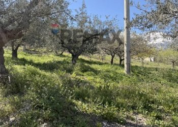 Giardino - Semi-detached house Frazione Gallo
 
34, Civitella Messer Raimondo - photo 5
