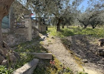 Giardino - Semi-detached house Frazione Gallo
 
34, Civitella Messer Raimondo - photo 62