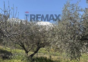 Vista delle montagne - Semi-detached house Frazione Gallo
 
34, Civitella Messer Raimondo - photo 63