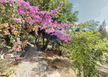 Giardino - Casa indipendente Contrada Camicie
 
1, Lanciano - foto 36