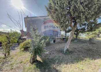 Giardino - Casa indipendente Contrada Camicie
 
1, Lanciano - foto 54