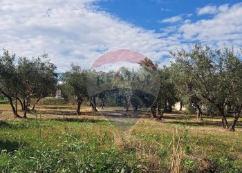 Giardino - Terreno edificabile Contrada Villa Stanazzo
155, Lanciano - foto 4