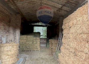 Non correlato - Casa semi indipendente Via Capuani
 
94, Guardiagrele - foto 55