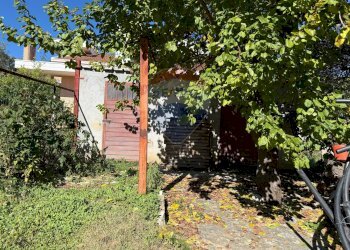 Giardino - Casa indipendente Villa Selciaroli
 
74, Crecchio - foto 38