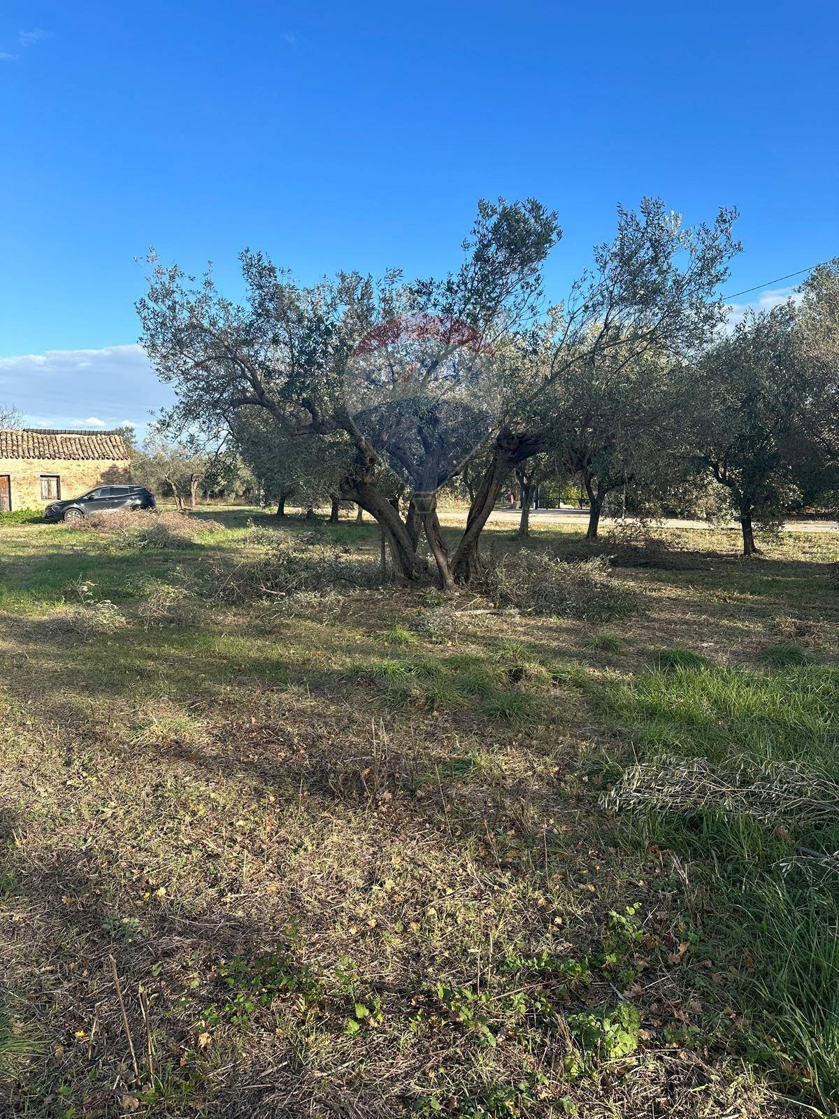 Giardino - Terreno edificabile contrada Felluca, Rocca San Giovanni - foto 2