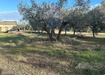 Giardino - Terreno edificabile contrada Felluca, Rocca San Giovanni - foto 2