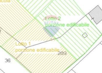 Pianta 2D - Terreno edificabile contrada Felluca, Rocca San Giovanni - foto 5