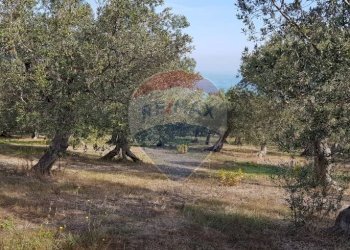 Giardino - Building land Via Selvotta, Località Montevecchio
 
snc, Vasto - photo 9