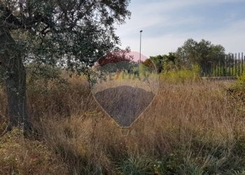 Giardino - Building land Via Selvotta, Località Montevecchio
 
snc, Vasto - photo 12