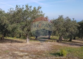 Giardino - Building land Via Selvotta, Località Montevecchio
 
snc, Vasto - photo 13