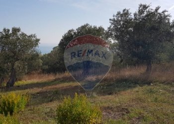 Giardino - Building land Via Selvotta, Località Montevecchio
 
snc, Vasto - photo 15