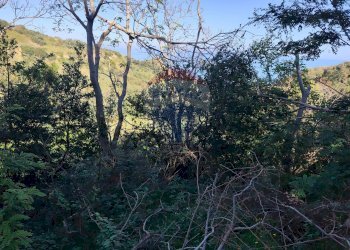 Non correlato - Terreno agricolo SP Pedemontana, Fossacesia - foto 6