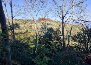 Vista delle montagne - Terreno agricolo SP Pedemontana, Fossacesia - foto 9