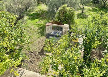 Giardino - Casa indipendente Via Casone
 
48, Fossacesia - foto 33