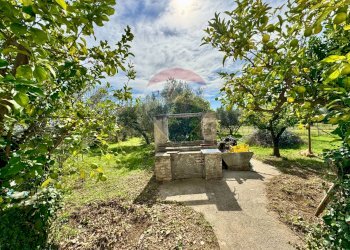 Giardino - Casa indipendente Via Casone
 
48, Fossacesia - foto 51