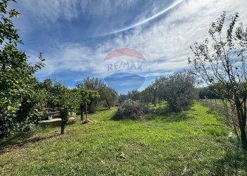 Giardino - Casa indipendente Via Casone
 
48, Fossacesia - foto 59