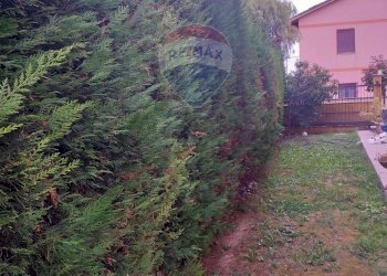 Giardino - Villa a Schiera Via Antonella D'Aquino
 
51, Francavilla al Mare - foto 51